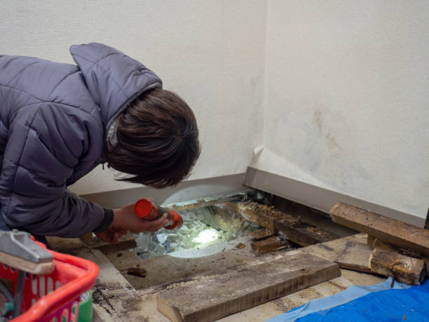 Best Residential Mold Inspection & Testing  in Cypress Quarters, FL