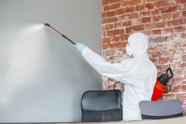 Best Commercial Mold Inspection  in Cypress Quarters, FL