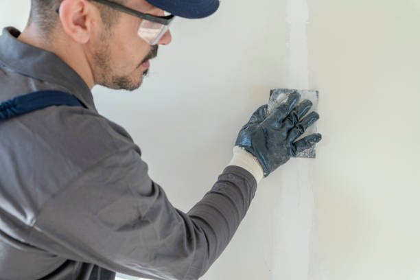 Best Environmental Consulting for Mold Prevention  in Cypress Quarters, FL