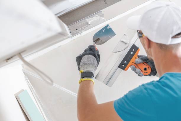 Best Emergency Mold Remediation  in Cypress Quarters, FL